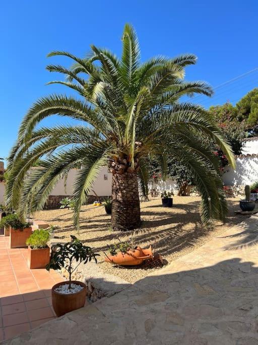Casa Serenita Charming Villa With Swimming Pool Xabia Bagian luar foto